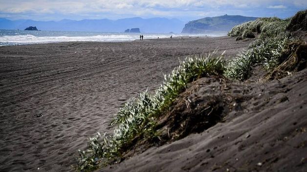 Вода на Камчатке может быть отравлена из-за утечки танкера