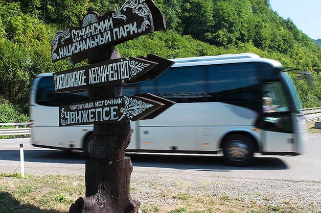 В сочинском нацпарке завелись лесорубы