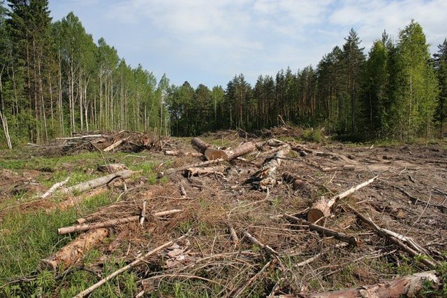 Россия - сырьевой придаток Китая. Доказательство