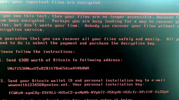 В ООН считают вирус Petya более сложным и опасным, чем WannaCry