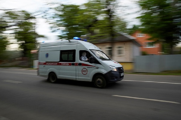 В Сочи один человек погиб и два пострадали из-за падения деревьев во время ливня