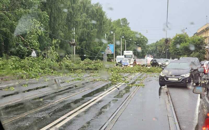 В Петербурге во время шторма погибли два человека