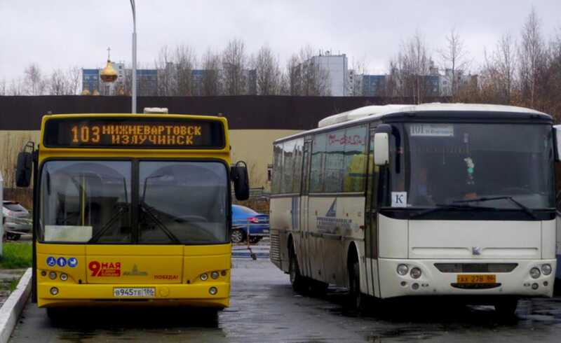 ФАС приостановила тендер на пассажирские перевозки в Сургуте: подозрение на "близкую" компанию