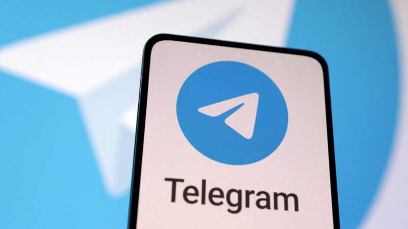 В Telegram появились новые категории для жалоб