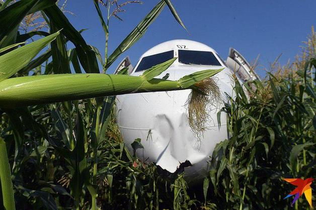 Самолет A321 разделили на части и вывезли с кукурузного поля