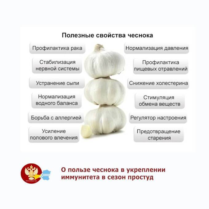 Роспотребнадзор Тывы рекомендует лечить болезни древним методом