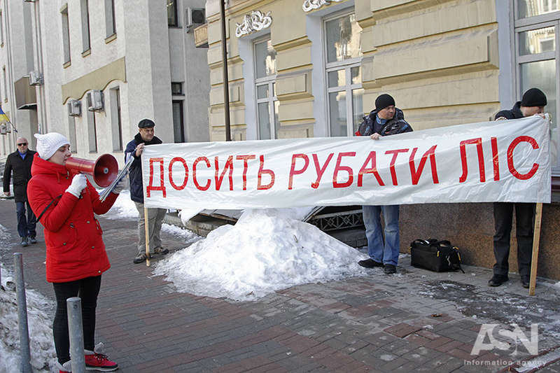 гослесагенство, сухолучье, экологи, национальный, парк, лес, борейко, бондарь, янукович, охота, дрова, вырубка exihrixiqhqglv