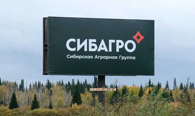 Навозная энергетика компании «Сибагро»